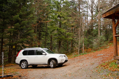 white suv car in autumn forest bbq place