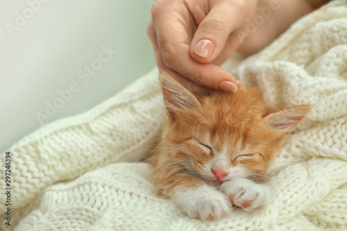 Woman stroking sleeping little kitten on white knitted blanket, closeup view