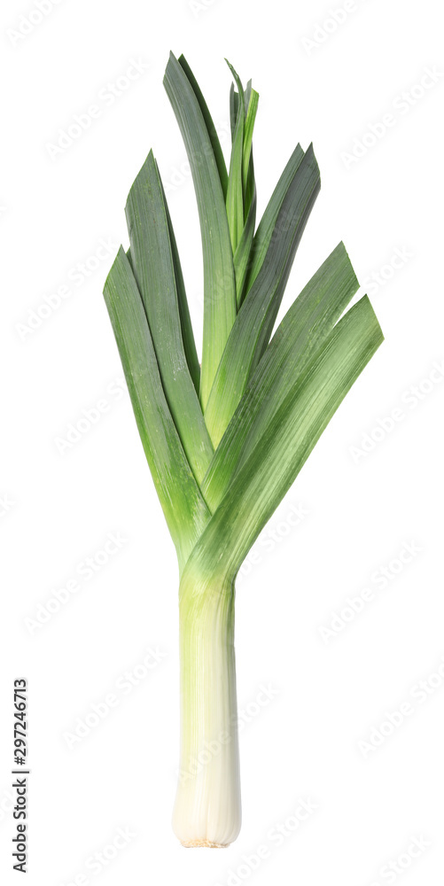 Obraz premium Fresh raw leek on white background. Ripe onion