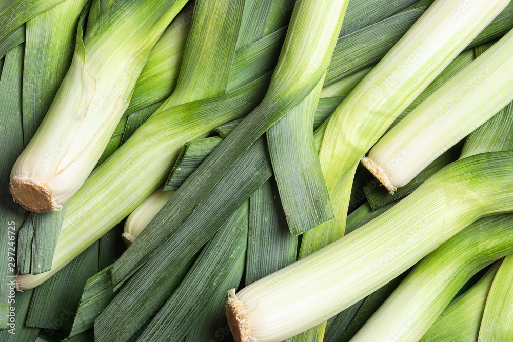 Fresh raw leeks as background, closeup. Ripe onion Fresh raw leeks as background, closeup. Ripe onion