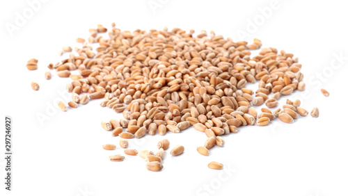 Pile of wheat grains on white background. Cereal crop