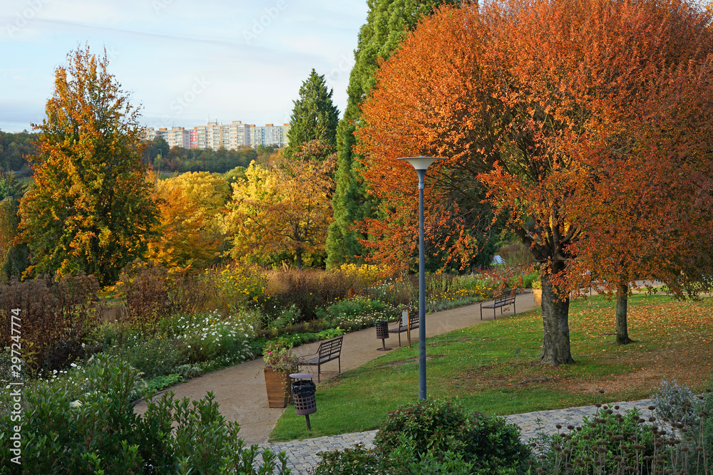 Naklejka premium Autumn in botanical garden park, Prague, Czech Republic