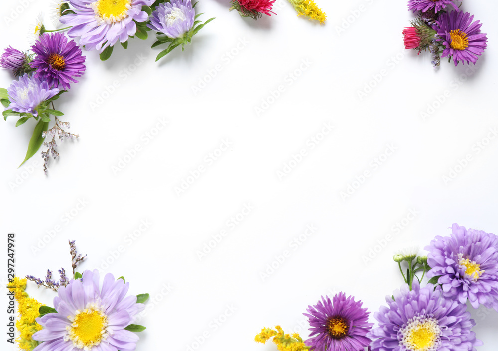 Composition with beautiful aster flowers on white background, top view. Space for text