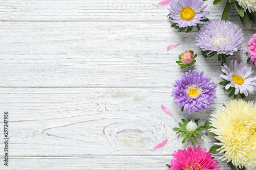 Flat lay composition with beautiful aster flowers on white wooden table. Space for text