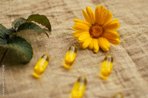 Close up yellow calendula flower at linen fabric with blurred fish oil capsules and raspberry leaf  soft focus