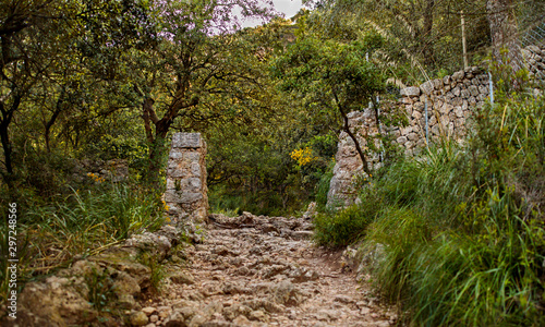 Puig des Caragol Sierra de Trmunatan, Mallorca photo