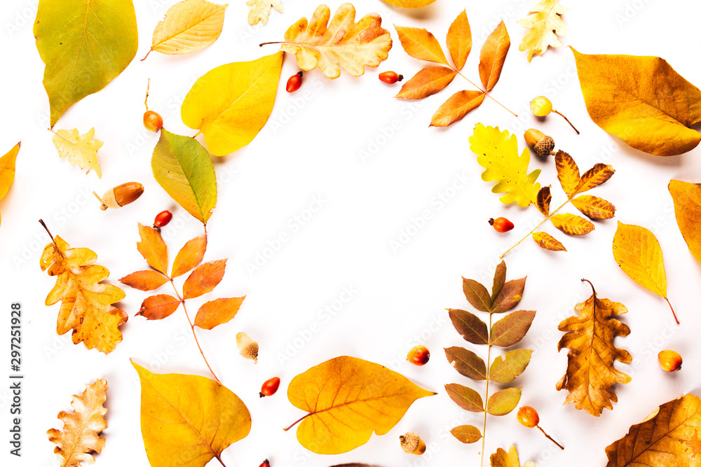 Autumn fall leaves from trees, rose hip. flat lay, top view. Composition for your design. circle for text