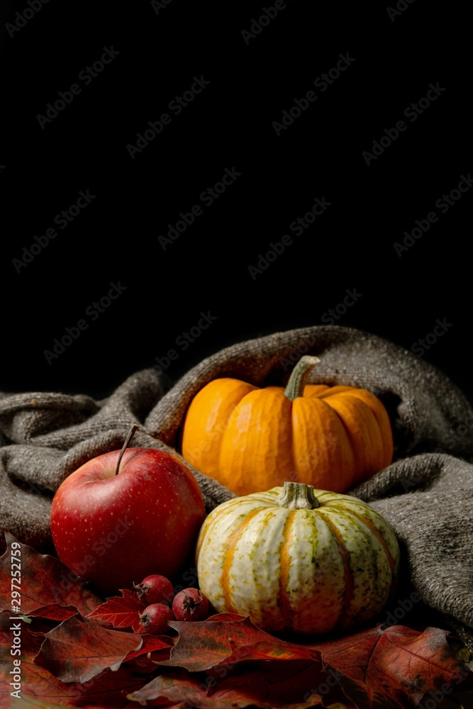 Two pumpkins, apple and berries on leaves and fabric. Still life