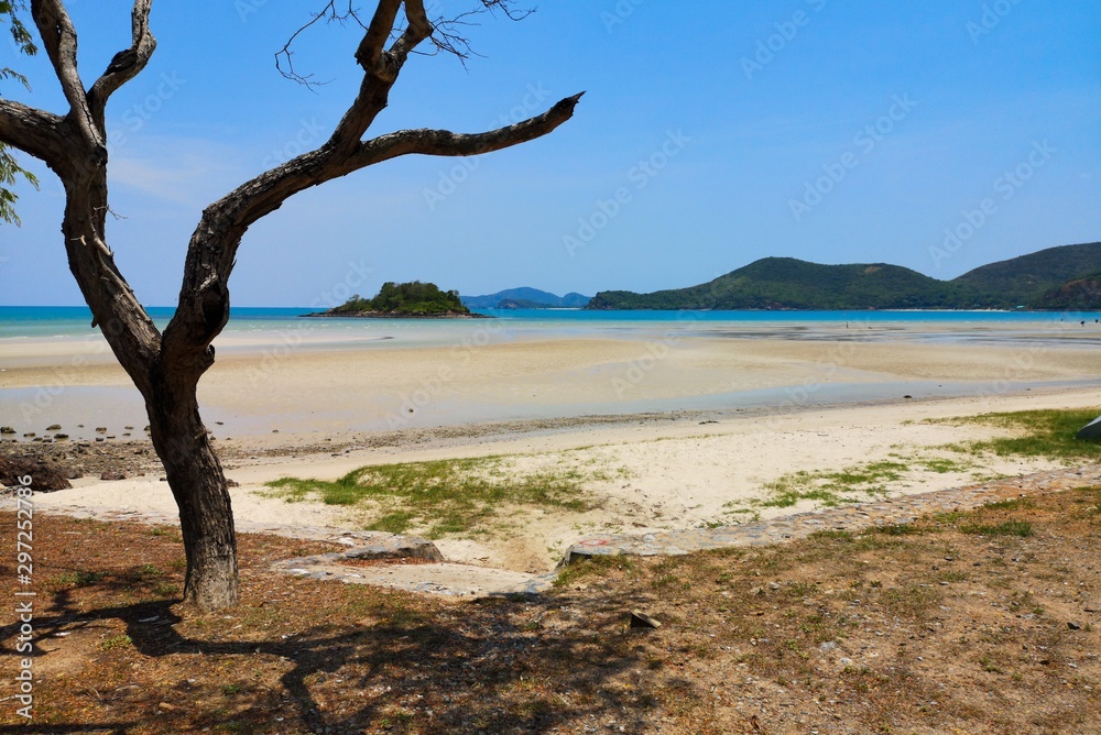 Beautiful sea and beach scenery during daytime with the branches of tree as foreground.
