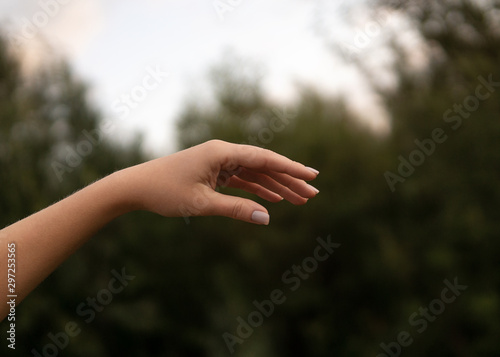 Womans hand on background of green forest © Elena Simonova