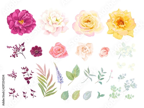 Flowers set elements. Vector floral illustration roses, leaves and branches in rustic style. Tender flowers for your template design.