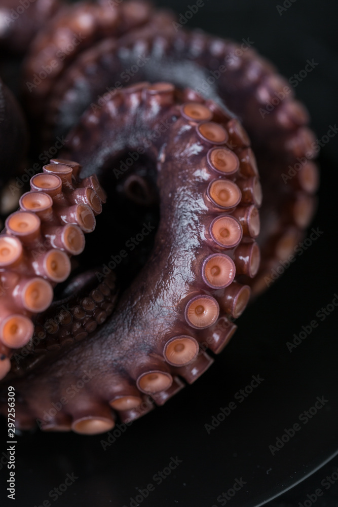 Octopus on a plate on a dark background Octopus on a plate on a dark background