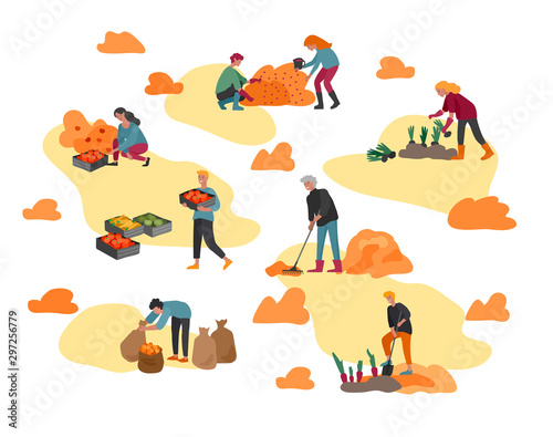 People gathering crops or seasonal harvest, ollecting ripe vegetables, picking fruits and berries, remove leaves. Men, women work on a farm. Agricultural workers in autumn. Cartoon vector