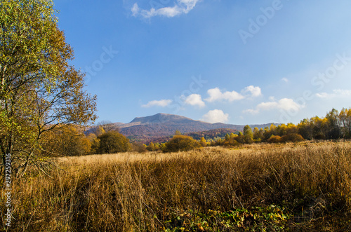 Fototapeta Naklejka Na Ścianę i Meble -  Tarnica bieszczady jesienią