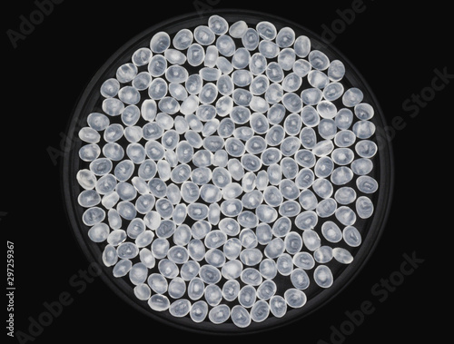 Polypropylene granule close-up background texture.