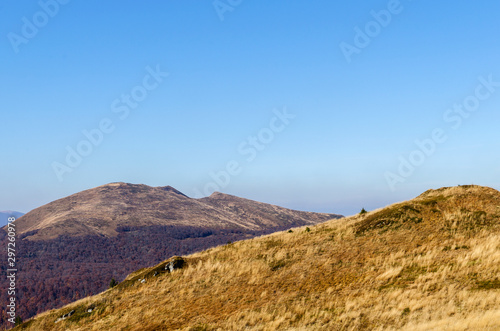 Fototapeta Naklejka Na Ścianę i Meble -  Tarnica bieszczady jesienią