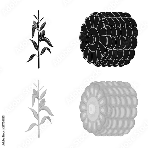 Vector illustration of cornfield and vegetable sign. Collection of cornfield and vegetarian stock symbol for web.