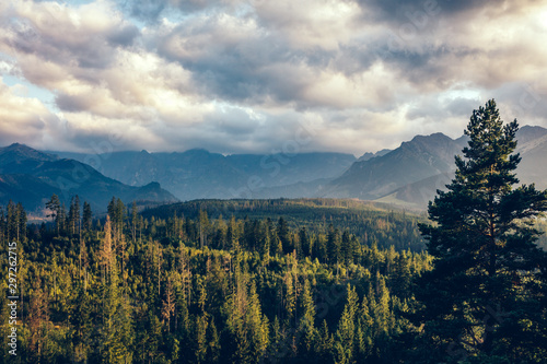 Forest under mountain peaks in clouds at sunset. Tatra Mountains, Poland.