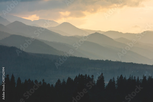 Fototapeta Naklejka Na Ścianę i Meble -  Forest under hills and mountains at sunset. Tatra Mountains in Poland.