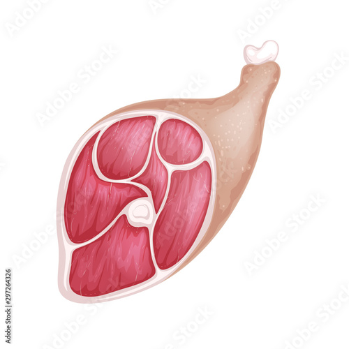 Raw pork leg, vector illustration. Isolated on a white background