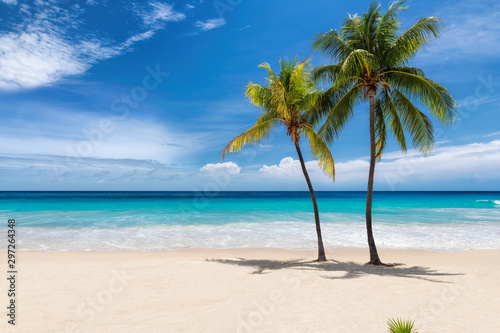 Tropical white sand beach with coco palms and the turquoise sea on Caribbean ...