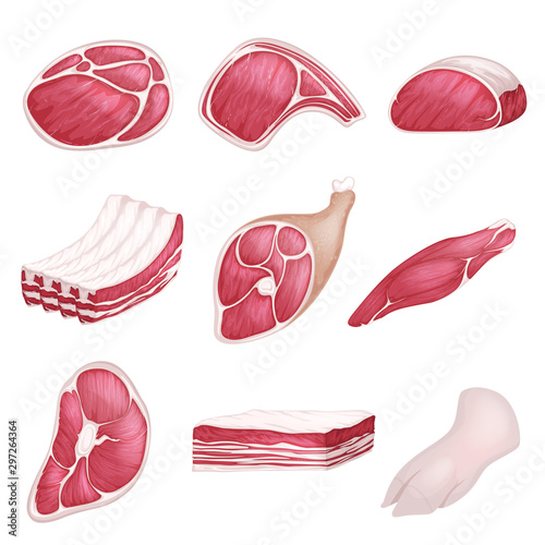 Lamb, pork beef, and other meat pictures in cartoon style. Steak of beef, raw pork meat.