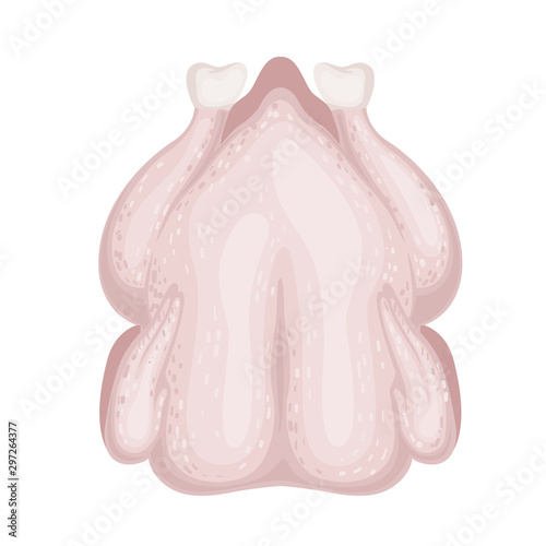 Fresh raw chicken vector Illustration. Vector illustration