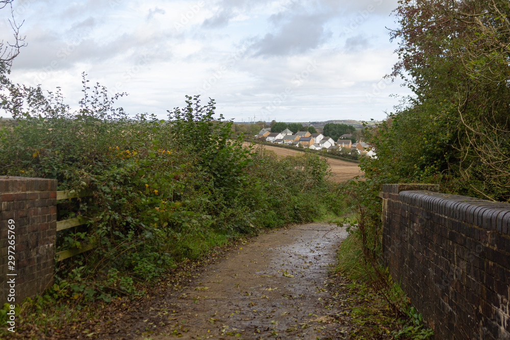 A Country Lane near Holsworthy, Devon