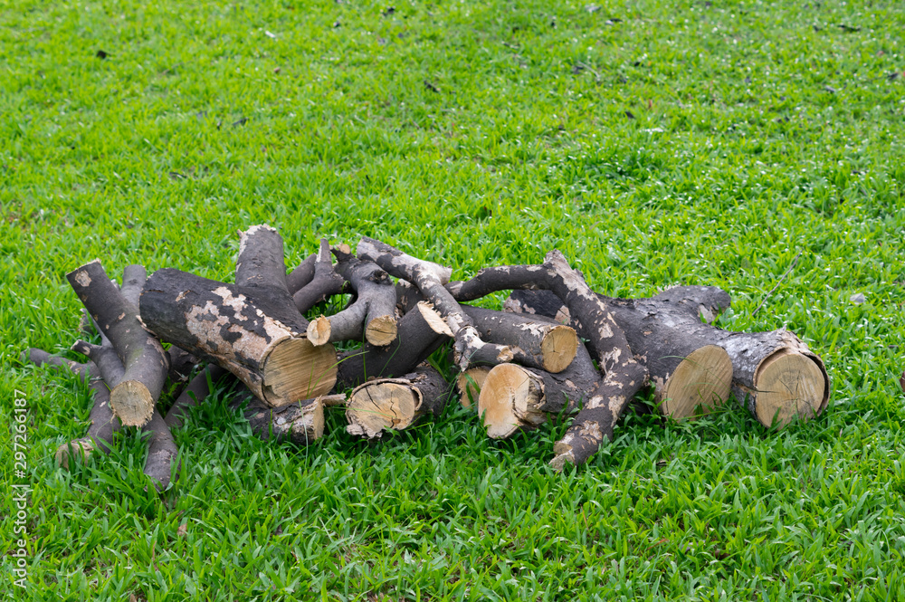 Stack of cut logs on grass floor. Stack of cut logs on grass floor.