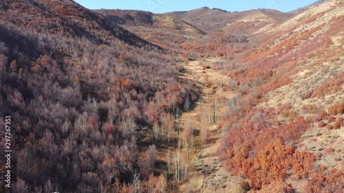 Flying down a valley of autumn-colored trees. photo