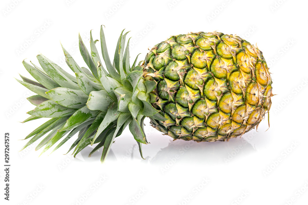 pineapple on white blackground pineapple on white blackground