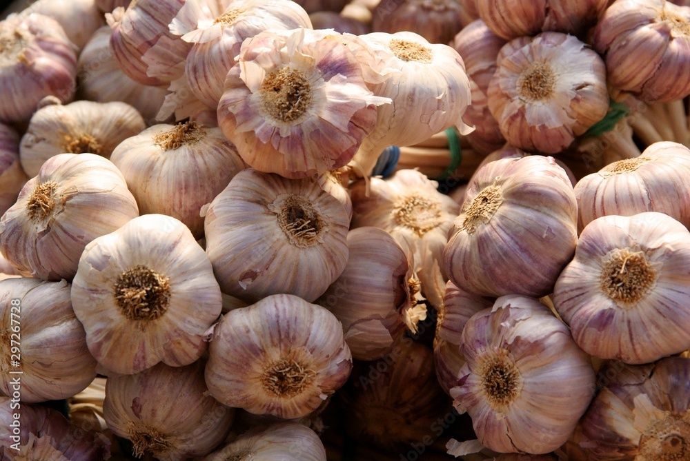 bulbs of garlic vegetable close up bulbs of garlic vegetable close up