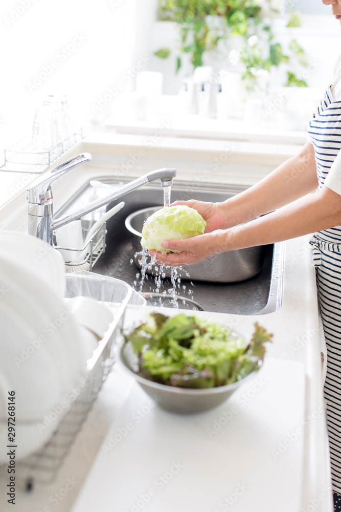 野菜を洗う主婦の手元 野菜を洗う主婦の手元