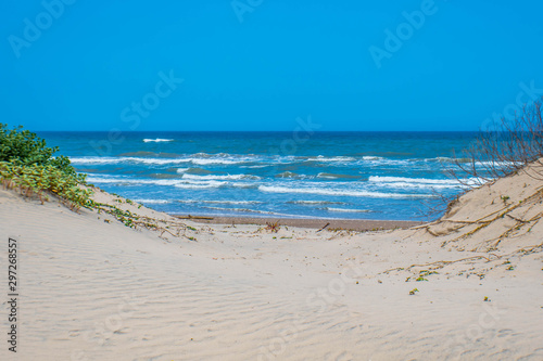 Fototapeta A beautiful soft and fine sandy beach along the gulf coast of South Padre Island
