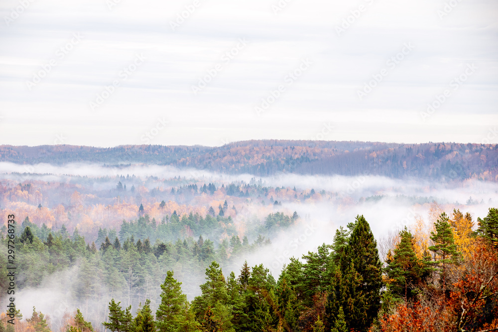 Fog moving above forest in autumn, beautiful nature Fog moving above forest in autumn, beautiful nature