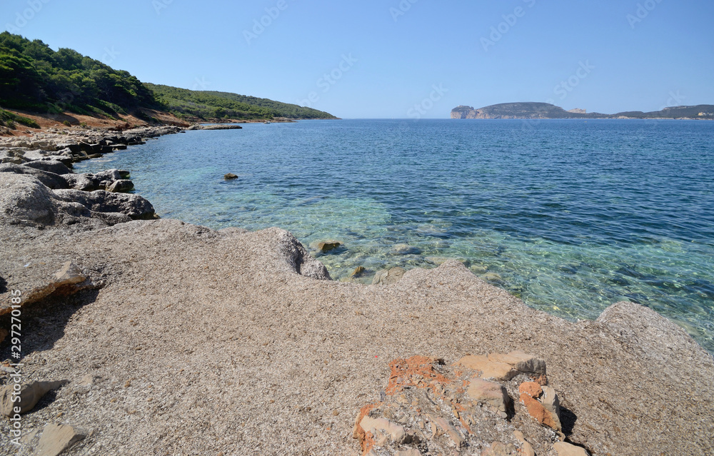 scenic view of the coast near Punta Giglio in the natural park of Porto Conte, in Sardinia island, with the cliff of Capo Caccia in the background. In the foreground, the Posidonia plants on the shore