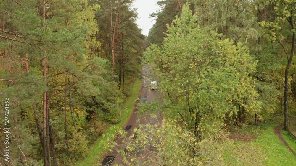 White Car moving away on a narrow asphalt road in an autumn pine forest. Aerial perspective shot. White Car moving away on a narrow asphalt road in an autumn pine forest. Aerial perspective shot.