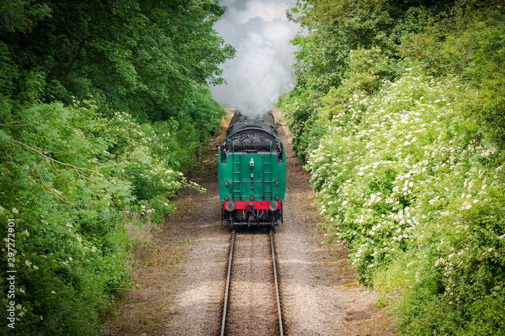 Naklejka premium Fast approaching vintage steam locomotive with its coal tender seen head first. Large amount of steam can be seen flowing from the loco as it approaches a bridge.