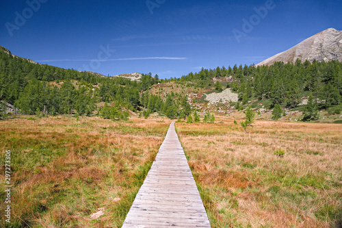 Panoramic view of an alpine valley with a walkway that allows you to cross a marsh.