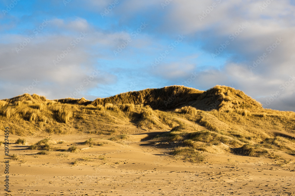 Die Dünen von Egmond aan Zee/NL