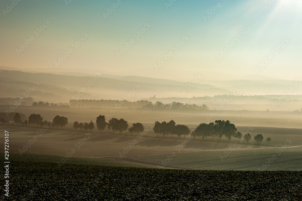 Fototapeta premium Morgennebel im Herbst 