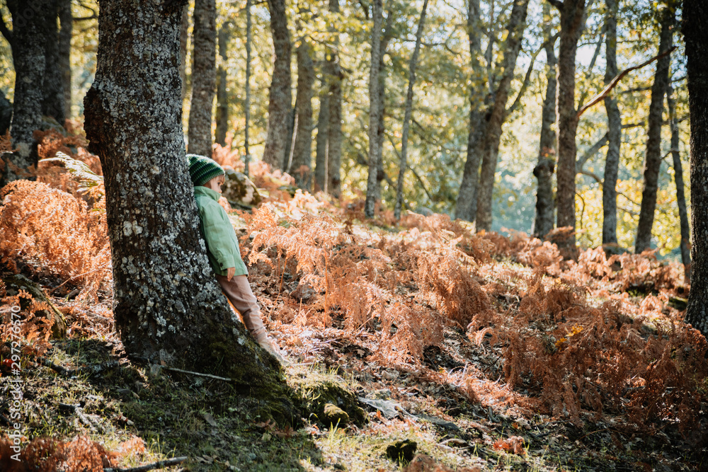 Little girl in an autumn forest among ferns Little girl in an autumn forest among ferns
