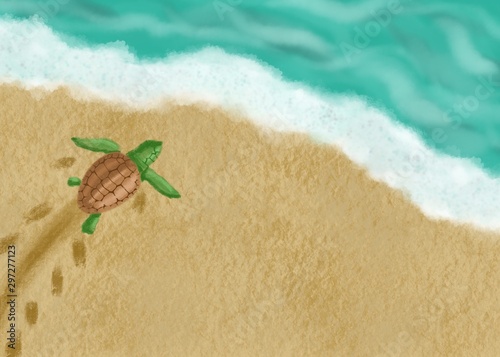 A turtle moving to the sea through the sand