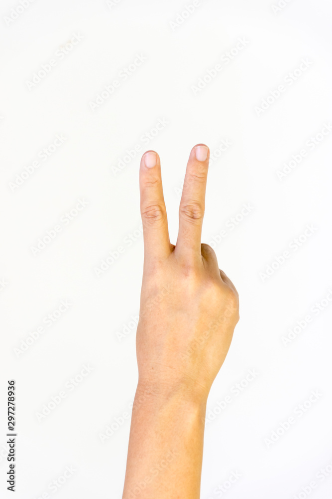 hand isolated on white background counting number two hand isolated on white background counting number two