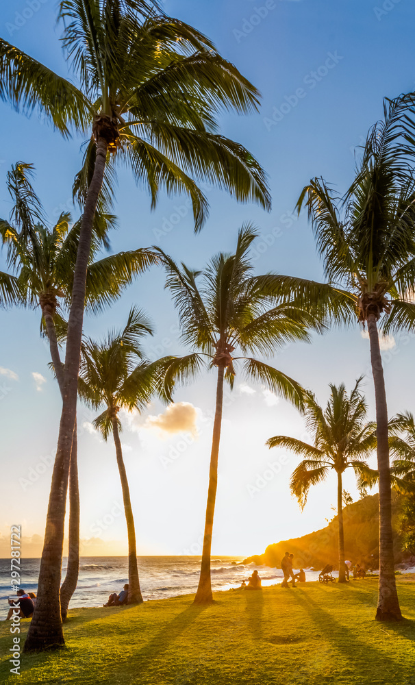 Fototapeta premium palm trees on the beach, Grand’Anse, Réunion Island 