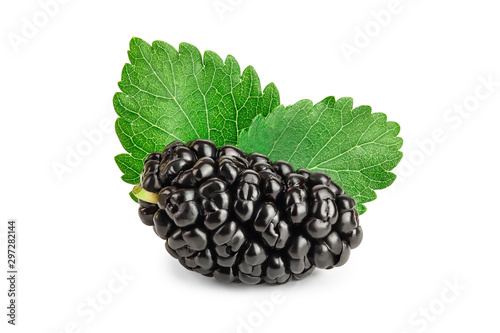 Mulberry with leaf isolated on white background photo