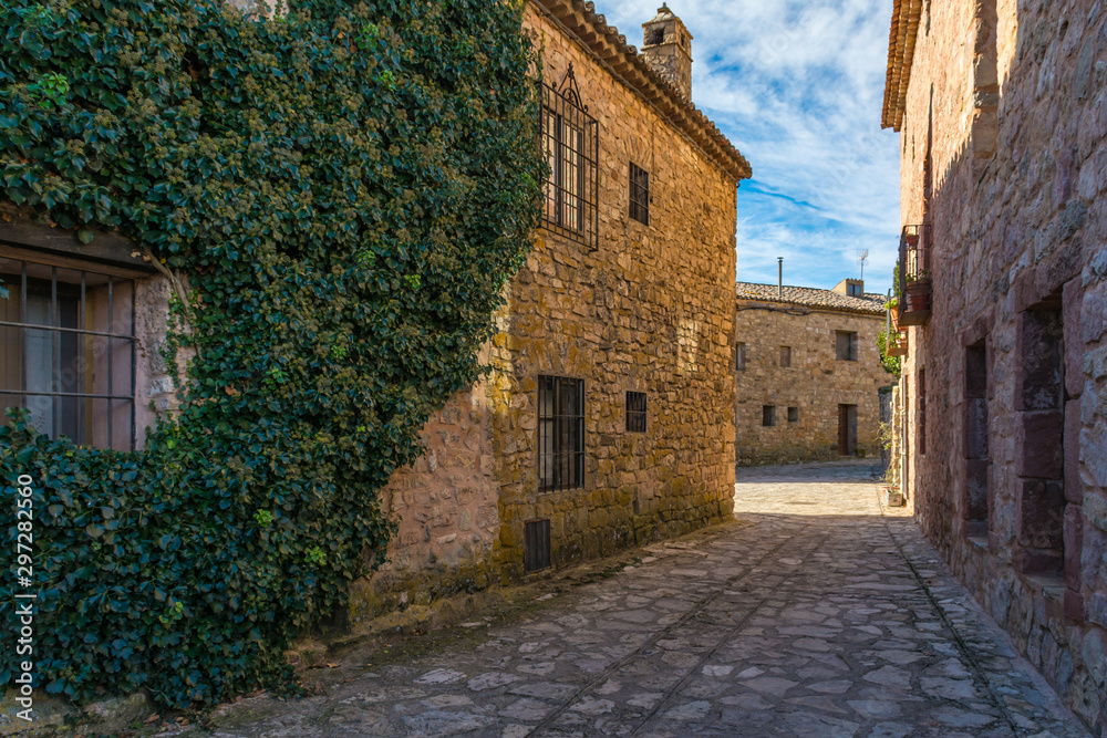 Streets and houses of the medieval village of Medinaceli in the province of Soria (Spain)