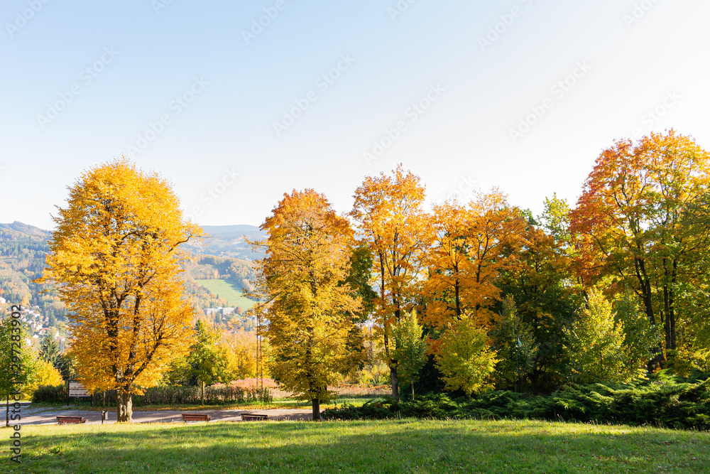 Beautiful autumn day in brightly colored forest full of leaves. The pleasant summer weather is ideal for walks in the countryside and mountain hikes. Inspired by beautiful nature and bright summer