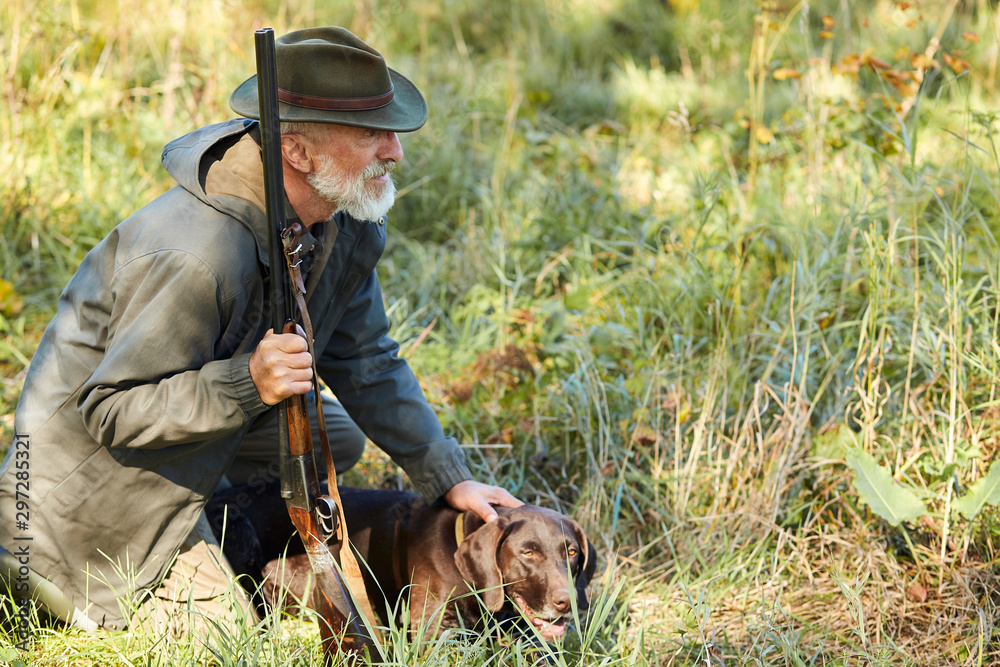 Senior hunter and his dog in forest, look for prey, hunting on wild animals.  Hunting season Stock Photo | Adobe Stock
