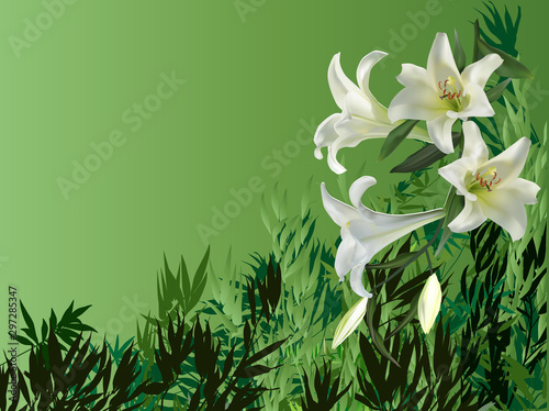 white lilies and dark bamboo leaves on green background